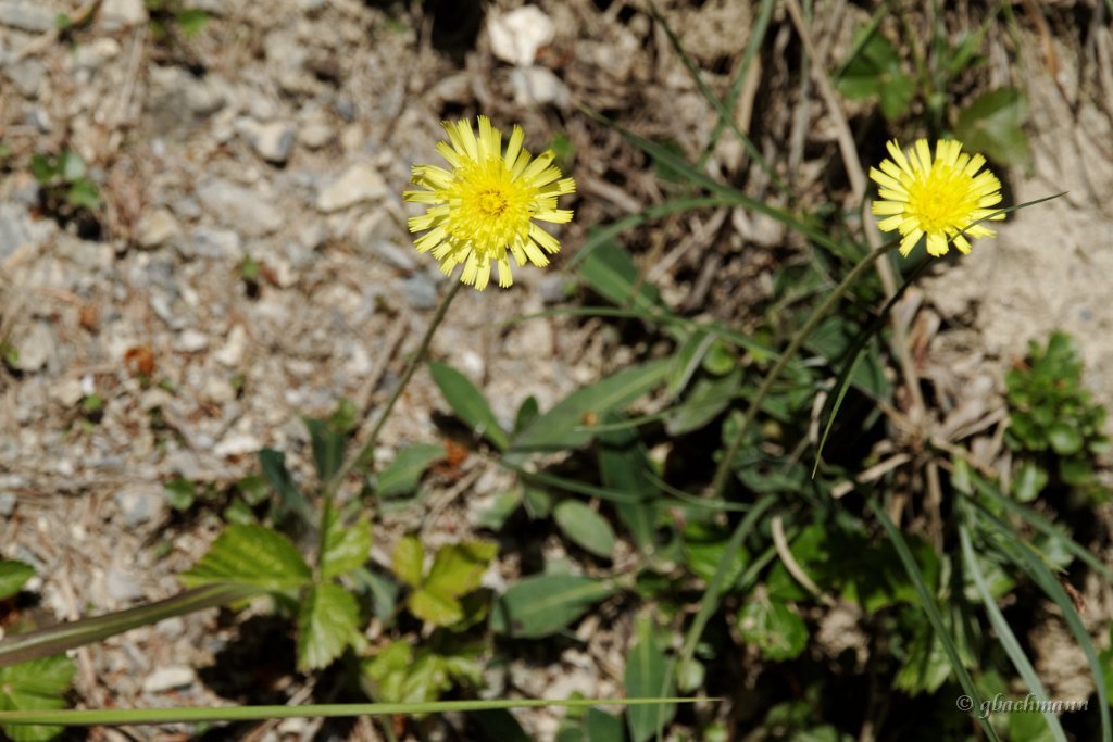 20120617_277